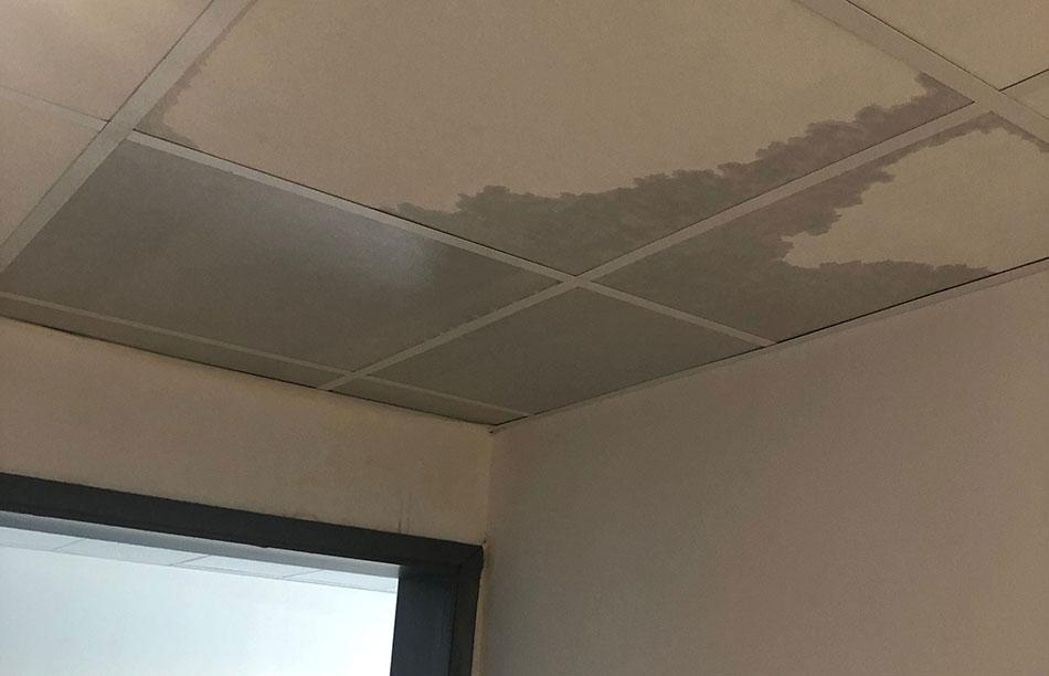 Humidité plafond